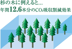 ̖؂ɗႦƁEEE@N12.6{CO2z팸
